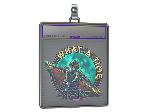 Sticker Slab: Wingsuit (Holo)