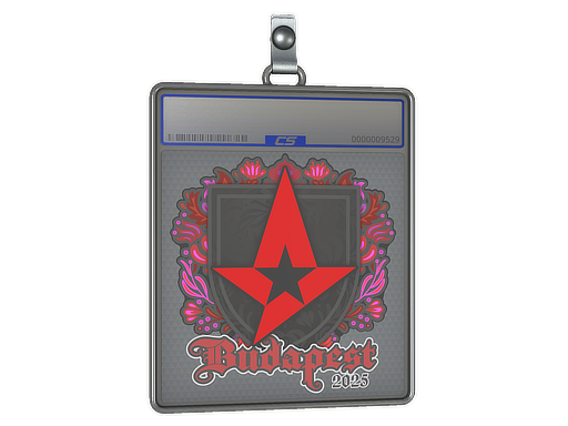 Sticker Slab: Astralis | Budapest 2025