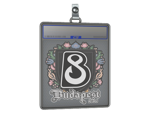 Sticker Slab: B8 | Budapest 2025
