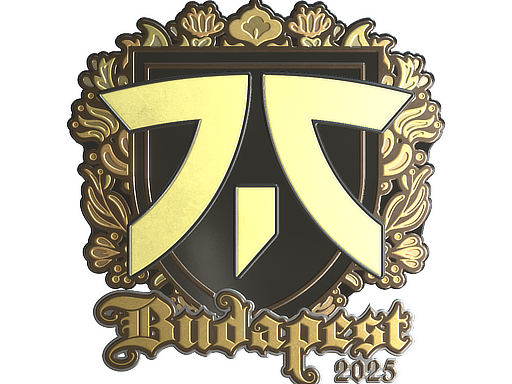 Sticker | fnatic (Gold) | Budapest 2025