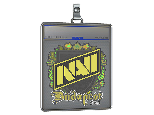 Natus Vincere | Budapest 2025