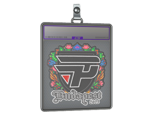 Sticker Slab: paiN Gaming (Embroidered) | Budapest 2025