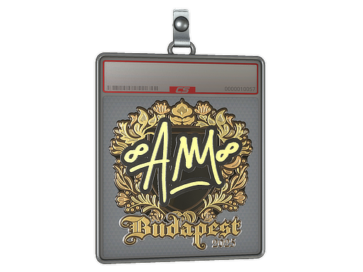 Sticker Slab: AW (Gold) | Budapest 2025
