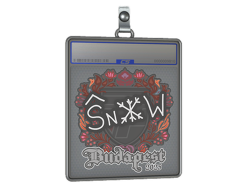 Sticker Slab: snow | Budapest 2025