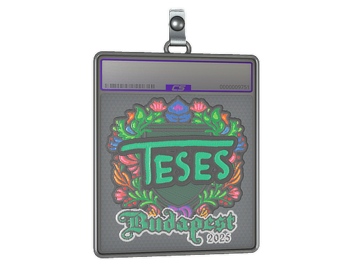 Sticker Slab: TeSeS (Embroidered) | Budapest 2025