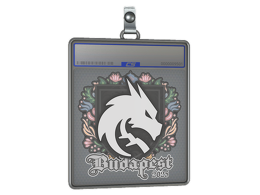 Team Spirit | Будапешт 2025