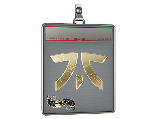 Sticker Slab: Fnatic (Gold) | Paris 2023