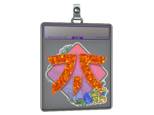 Sticker Slab | Fnatic (Glitter) | Rio 2022