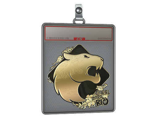 Sticker Slab: FURIA (Gold) | Rio 2022