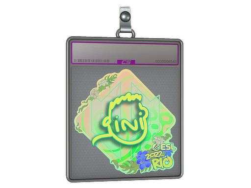 Sticker Slab: VINI (Holo) | Rio 2022