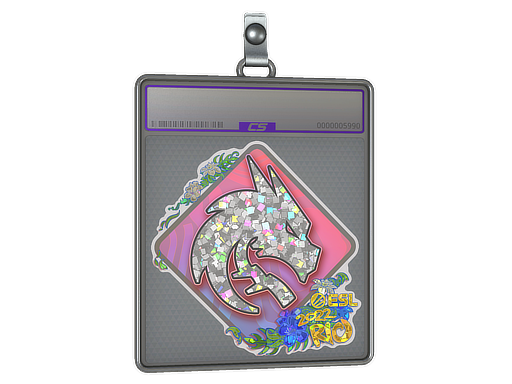 Sticker Slab: Team Spirit (Glitter) | Rio 2022