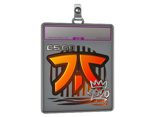 Sticker Slab: Fnatic (Foil) | 2020 RMR