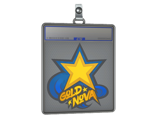 Sticker Slab: Gold Nova