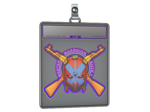 Sticker Slab: Master Guardian Elite (Holo)