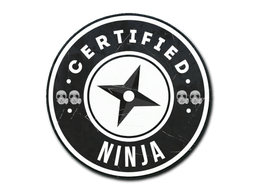 Sticker | The Ninja