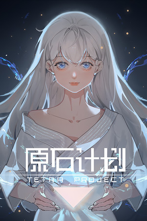 Tetra Project - 原石计划