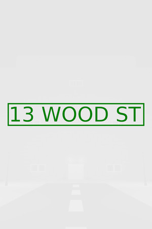 13 WOOD ST