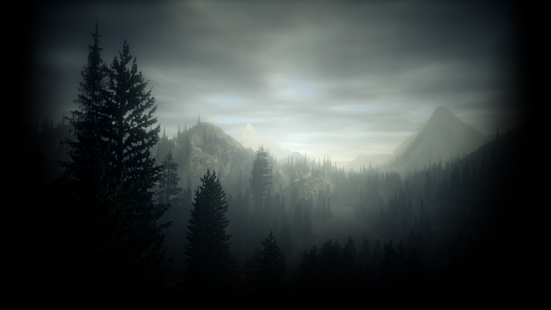 Best Forest Steam Profile Backgrounds 