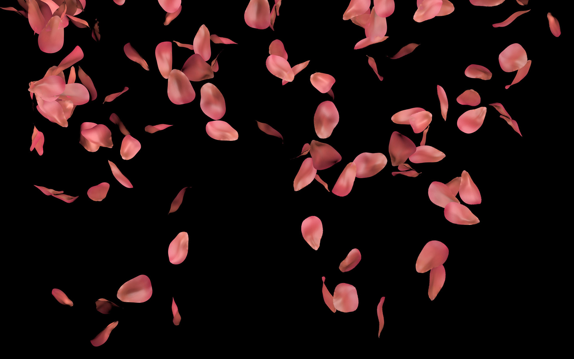 Rose petals with water drops Wallpaper 4k Ultra HD ID:11334